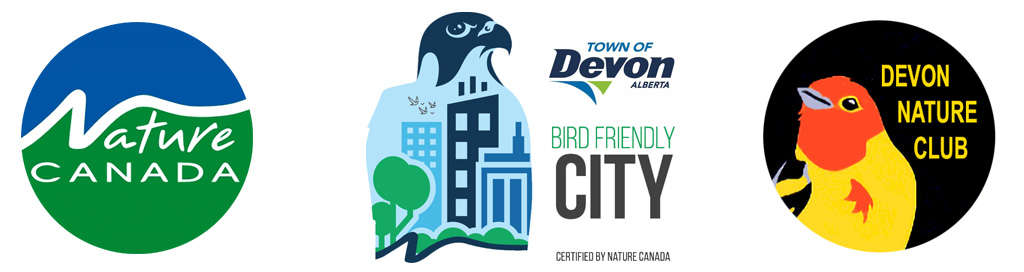 Bird Friendly